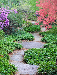 a pathway